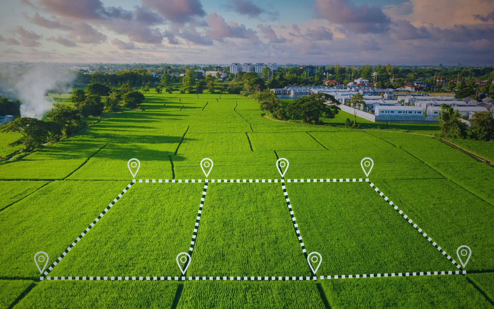 Happy women and dog on bed